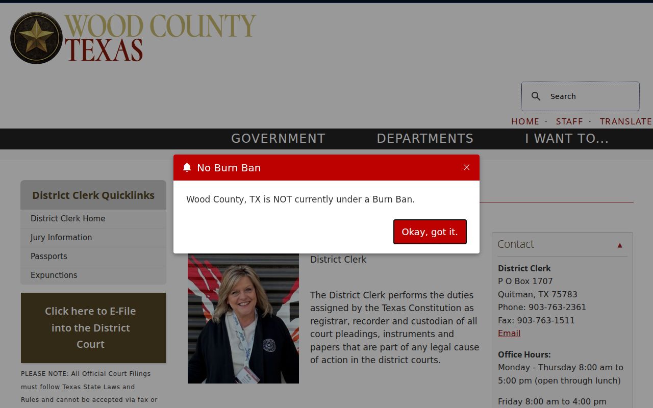 Wood County criminal court record District Clerk page